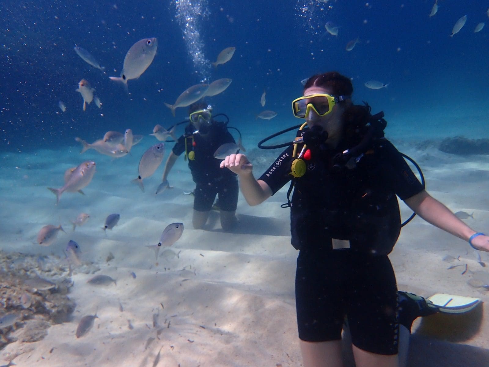 Fische beobachten Mallorca