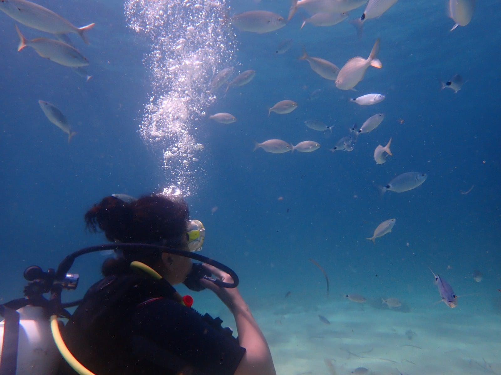 Unterwasserwelt beobachten Mallorca