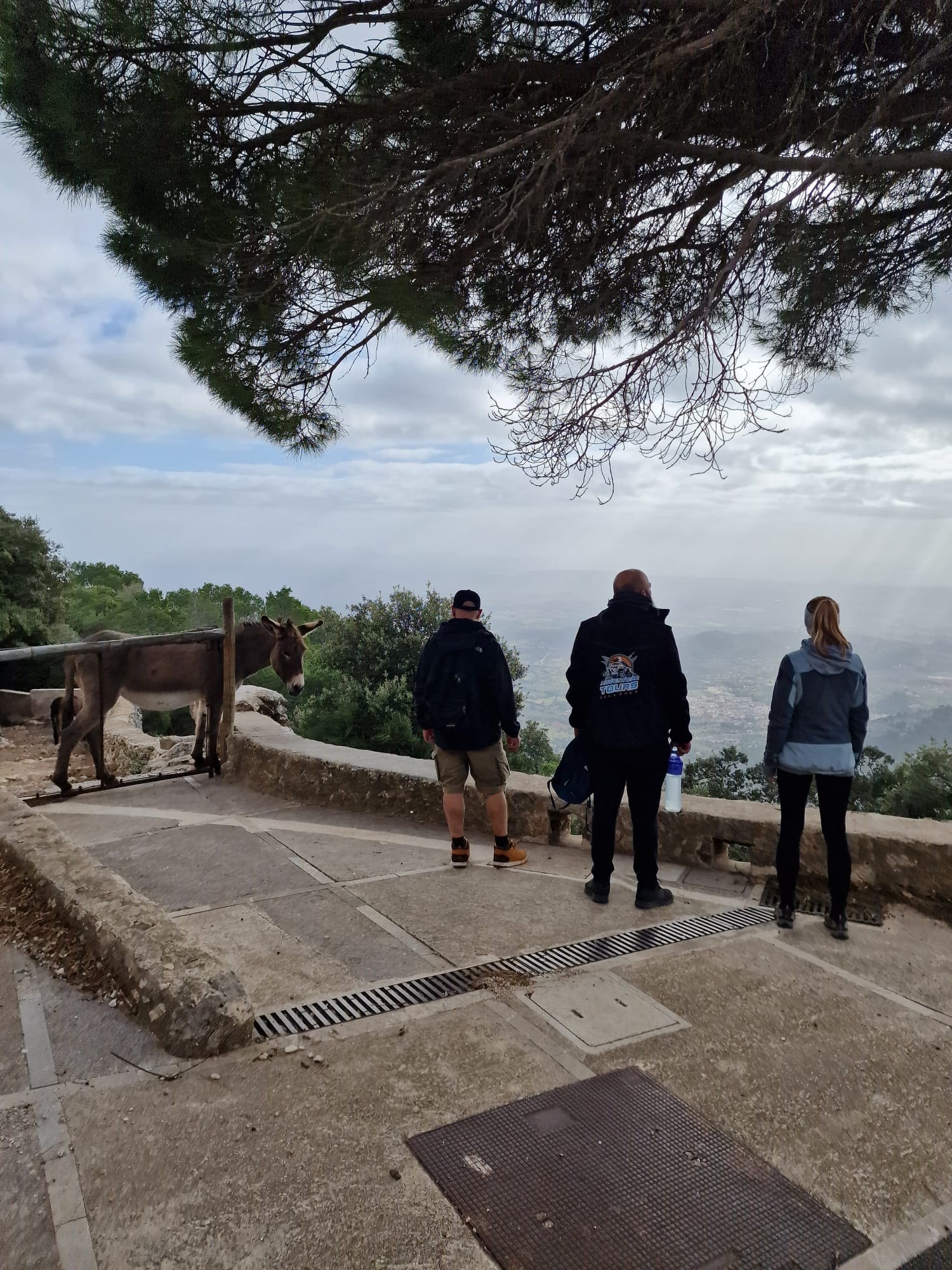 Wandern mit Freunden Mallorca