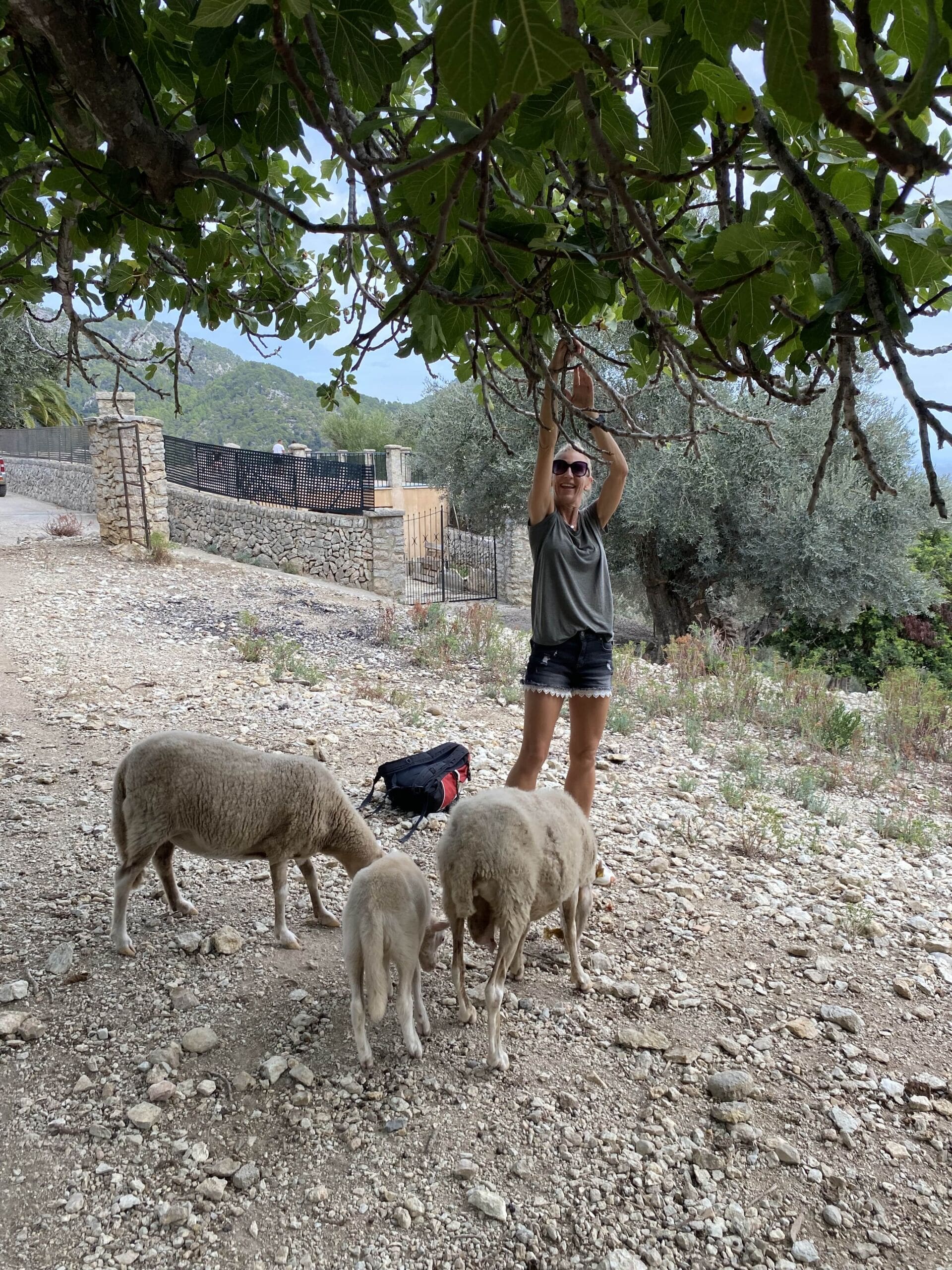 Wandertour Mallorca 12