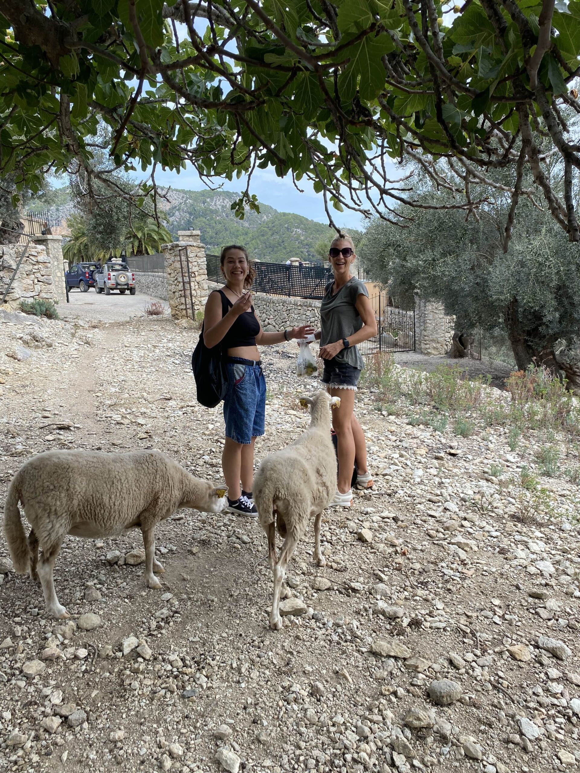 Wandern auf Mallorca