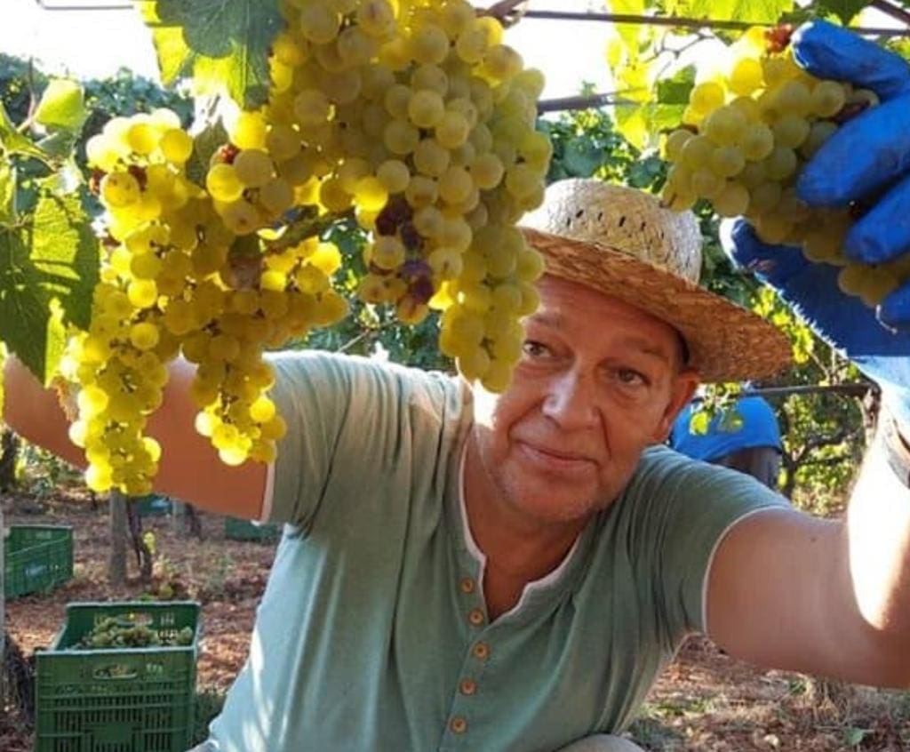 Bodega-Touren-Wein-Olivenoel-Verkostung.jpg Bodega Tour Weinverkostung