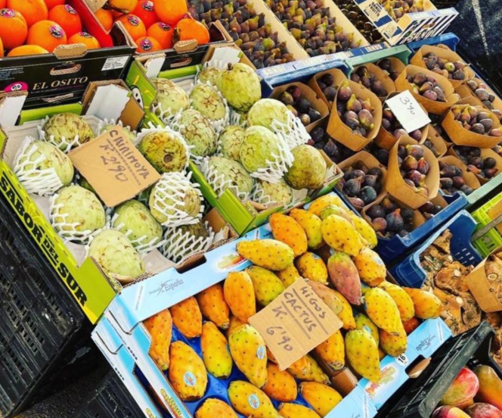 Oliven-Tour-Wochenmarkt-.jpg Markt Mallorca